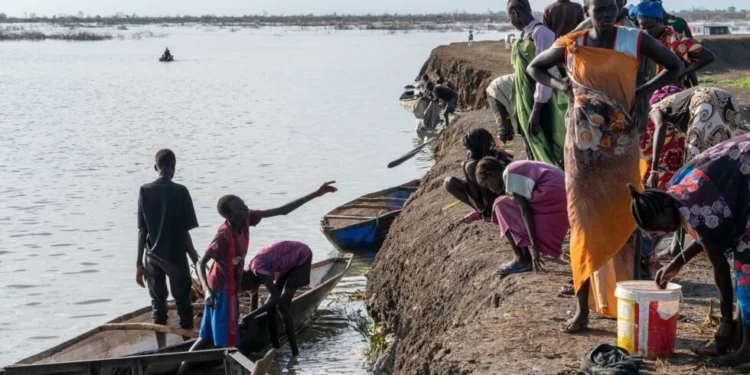 Soudan du Sud: les inondations renforcent l’économie de la pêche